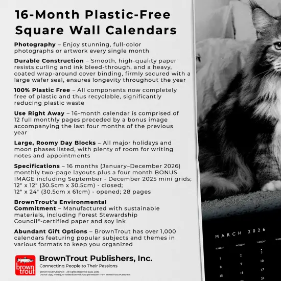 The BrownTrout Portrait Series: The Regal Cat | 2026 12 x 24 Inch (Hanging) Monthly Square Wall Calendar | Plastic-Free {6}