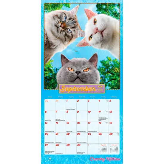 Avanti Cranky Kitties OFFICIAL | 2026 7 x 14 Inch (Hanging) Monthly Mini Wall Calendar {4}