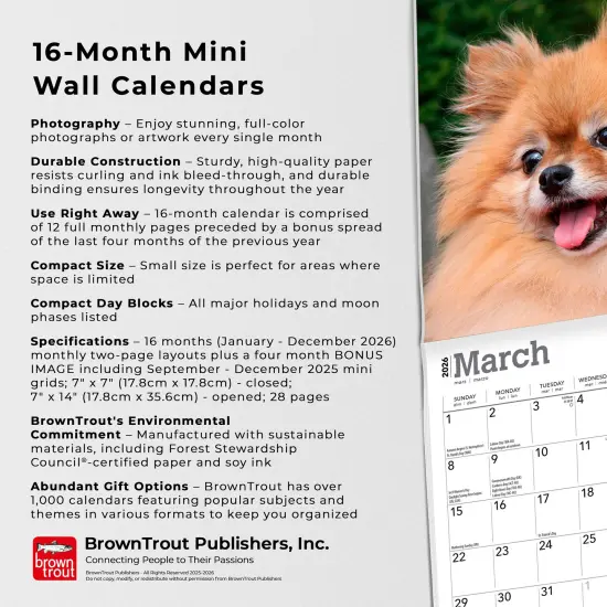 Pomeranians | 2026 7 x 14 Inch (Hanging) Monthly Mini Wall Calendar {6}