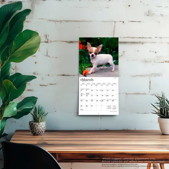 Chihuahua Puppies | 2026 7 x 14 Inch (Hanging) Monthly Mini Wall Calendar {5}