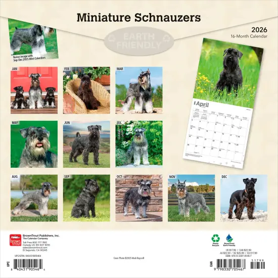 Miniature Schnauzers | 2026 12 x 24 Inch (Hanging) Monthly Square Wall Calendar | Plastic-Free {2}