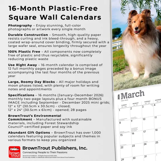 Shetland Sheepdogs | 2026 12 x 24 Inch (Hanging) Monthly Square Wall Calendar | Plastic-Free {6}