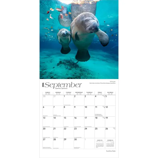 Sunshine State | Florida Places | 2026 12 x 24 Inch (Hanging) Monthly Square Wall Calendar | Plastic-Free {4}