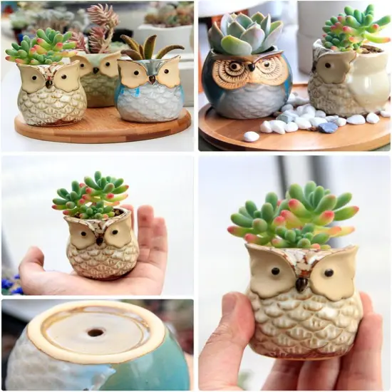 6 Pcs 2.5 Inches Owl Ceramic Pots {3}