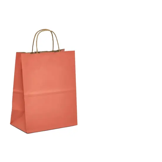 Convenient Tinted Kraft Paper Bag 16" x 6" x 12" {6}