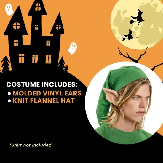 Legend of Zelda Link Adult Costume Kit {6}