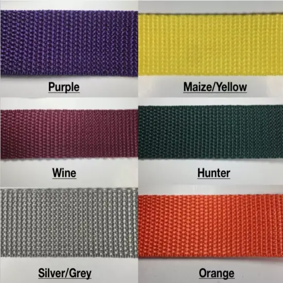 1" Polypropylene Webbing - 20 Continuous Yards Natural {4}