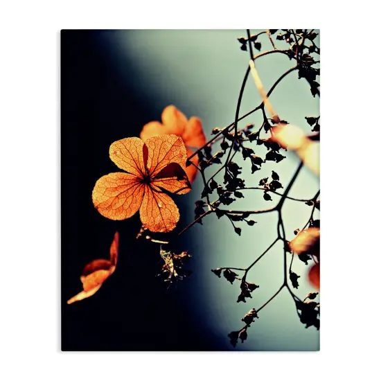 Sunlit Detailed Floral PetalsCanvas Art {1}