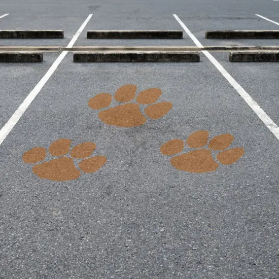Tiger Paw Mascot Stencil | High School Senior Parking Spot Stencil | Reusable Stencil | Stencil Ease | {3}
