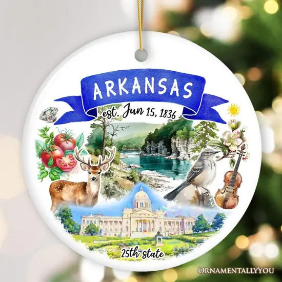 Artistic Arkansas State Themes and Landmarks Christmas Ornament {1}
