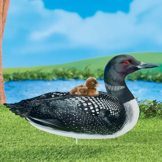 Collections Etc Realistic Common Loon with Baby Outdoor Garden Stake {1}