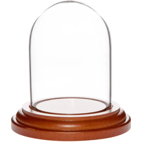 Plymor 1.85" x 2.875" Mini Glass Display Dome Cloche Walnut Veneer {2}