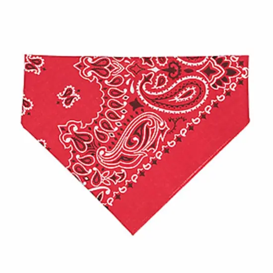 LAT Apparel&reg; Doggie Bandana Red Paisley - rdp {1}