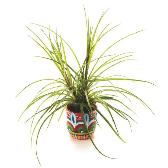 Color-Me&trade; Ceramic Bisque Planter (Pack of 12) {5}