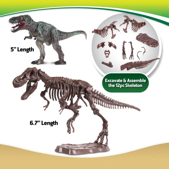 WowWorld: Dino Dig - Tyrannosaurus Rex - All-In-One Dinosaur Skeleton Excavation Kit, Tools & Construction Figurine, Educational Science Toy, Kids 6+ {4}