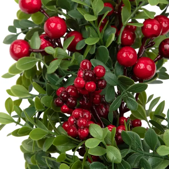 Northlight Red Berry and Boxwood Artificial Christmas Wreath - 20" - Unlit {7}