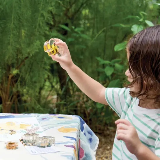 Kaplan Early Learning Company Specimen Life Cycle Puzzles - Honey Bee {6}