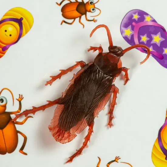 Greater Than Games: Jooky Jooky - Rid Your Home Of Cockroaches By Completing Challenges, Fun Family Game, Easy To Learn & Quick Playing Time, For 2 to 5 Players, 15 Minutes Play Time, For Ages 6 and Up {7}