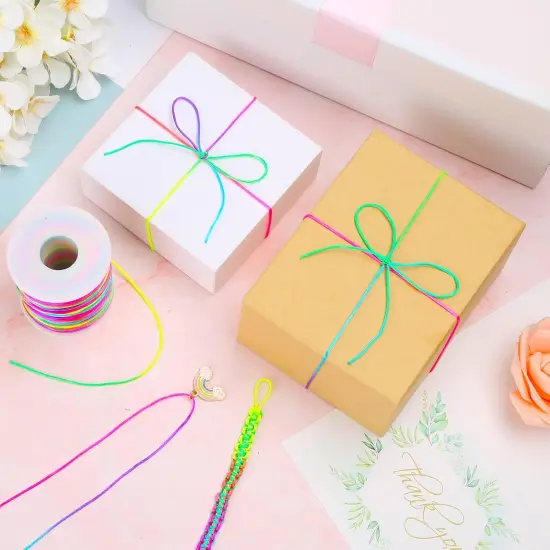 Rainbow Color Nylon Cord, Nylon Craft String, Silky Satin Rattail Cord Beading String for Braided Bracelets, Pendants Necklace, Macrame Keychains, Lanyards, Drawstring Bags, DIY Crafts, Sewing {6}