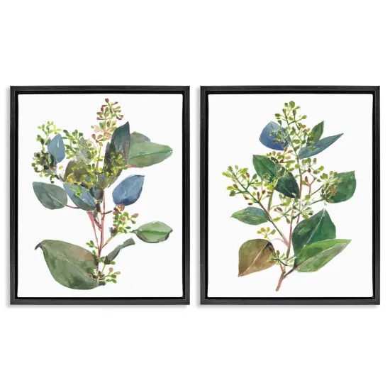 Stupell Industries Soft Eucalyptus Plant Ombre Leaves Framed Floater Canvas Wall Art Black Floater Frame {1}