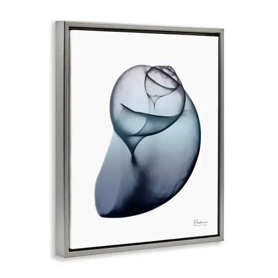 Stupell Industries Contemporary Snail Shell Framed Floater Canvas Wall Art Gray Floater Frame {3}