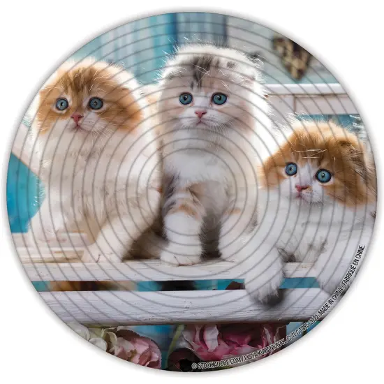 Spin Flip Puzzle: Puppies & Kittens 2L- 14 Rings - 2-In-1: Double-Sided Puzzle, Spin-Flip-Solve, 360 Degress Of Puzzling, Fidget Toy, Adults & Kids 8+ {5}