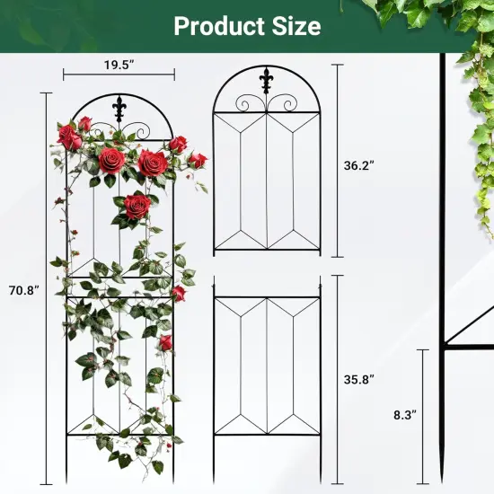 Garden Trellis 70.8" x 19.5", Black Coated {2}