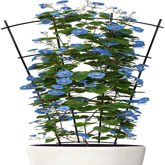 4 Pack 32'' Indoor Plant Trellis for Potted Plants {4}