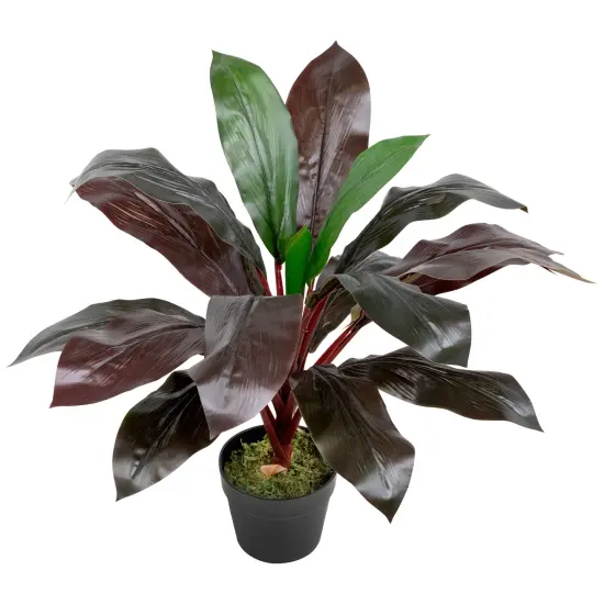 Northlight Real Touch&trade;️ Red and Green Artificial Dracaena Potted Plant - 23" {5}