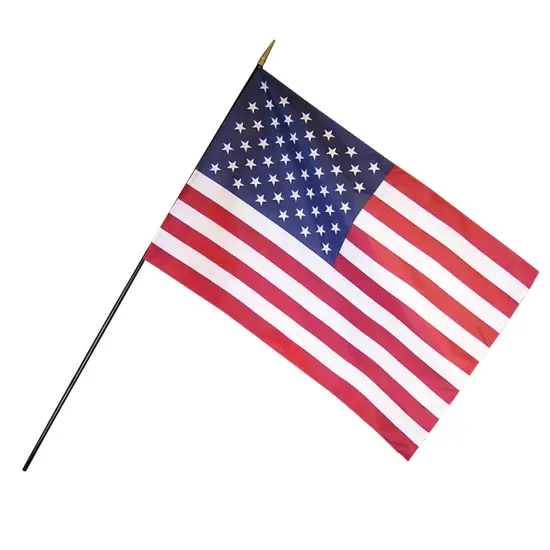 Empire Brand U.S. Classroom Flag with Staff, 12" x 18" {1}