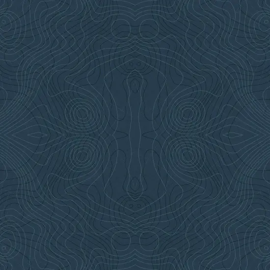 Topographic Map Gift Wrap XVI {2}