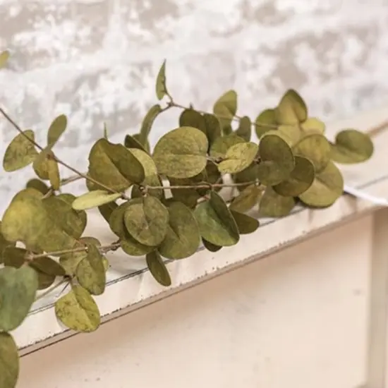 Penny Leaf Spray Green {2}