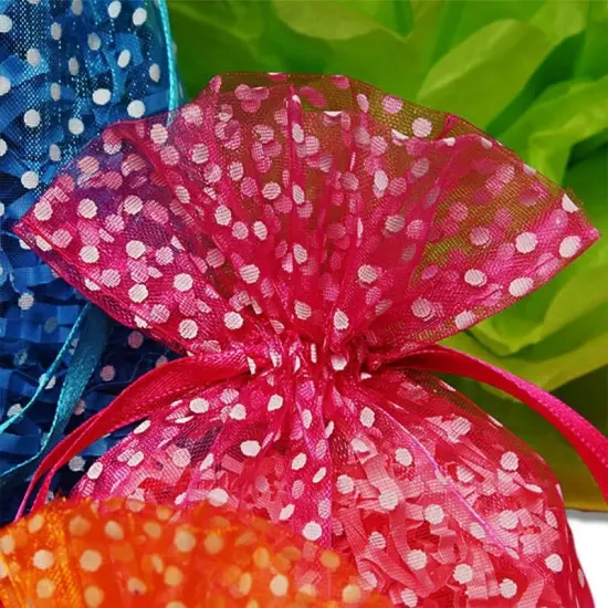 Polka Dot Organza Bag 6" x 9" Large and Versatile {3}