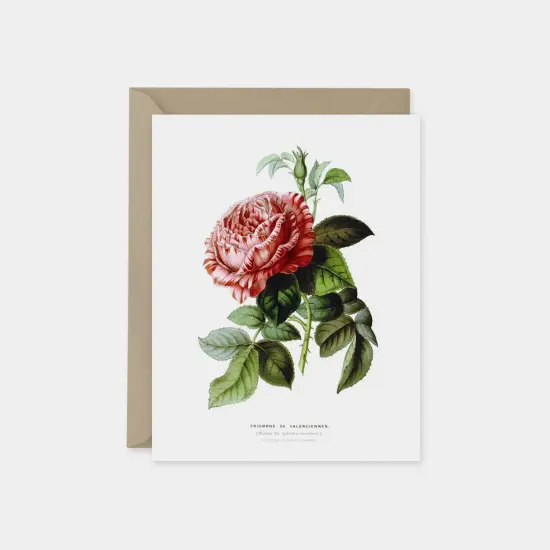 Custom Art Cards, Vintage Botanical Card {1}