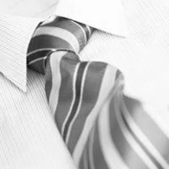 Fifty Shades - Premium Fragrance Oil {1}