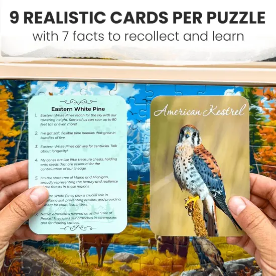 100 Pcs Dementia Puzzles for Elderly | Picturesque Views {3}