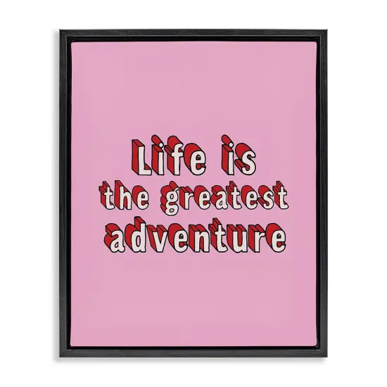 Stupell Industries Greatest Adventure on Pink Framed Floater Canvas Wall Art Design by Louise Carey {1}