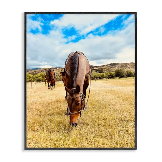 Stupell Industries Grazing Horses Pasture Framed Giclee Wall Art Design by Kali Wilson {6}