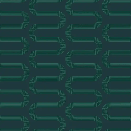 Fine Line Modern Gift Wrap {2}