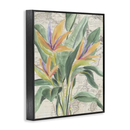 Stupell Industries Bird of Paradise over Map Framed Giclee Design by June Erica Vess {3}