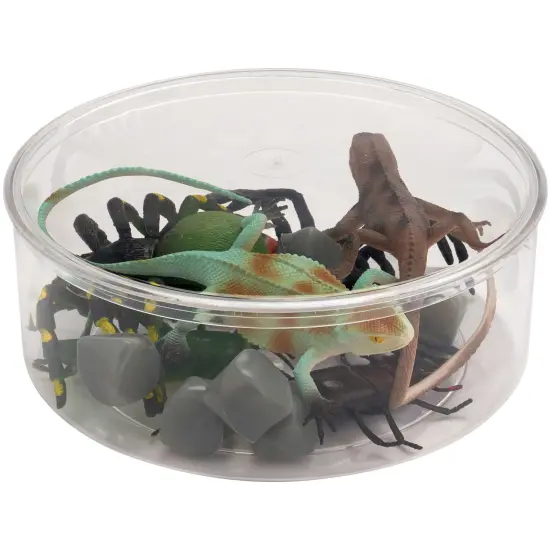 Pioneer Plastics 240C Clear Large Round Plastic Container, 8" W x 3" H {3}