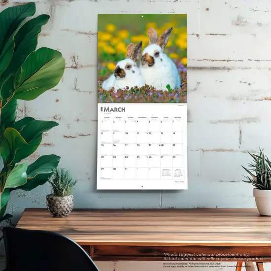 Honey Bunny | 2026 12 x 24 Inch (Hanging) Monthly Square Wall Calendar | Plastic-Free {5}