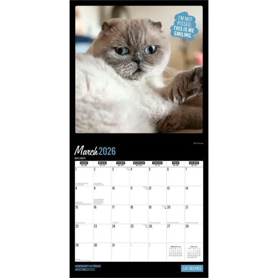 Cat Selfies | 2026 12 x 24 Inch (Hanging) Monthly Square Wall Calendar | Plastic-Free {3}