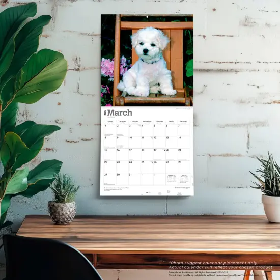 Bichon Frise Puppies | 2026 12 x 24 Inch (Hanging) Monthly Square Wall Calendar | Plastic-Free {5}