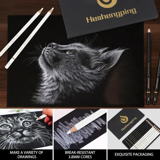 6 Black 6 White oil color pencils coloring drawing pencil oil-based wooden colored pencils for artists beginners artists, 12 pack {4}