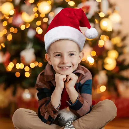 Northlight Red and White Plush Unisex Adult Christmas Santa Hat Costume Accessory - Small {1}