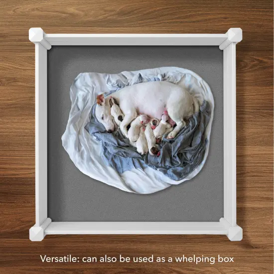 Casafield White Vinyl Raised Garden Bed, Outdoor Above Ground Garden Planter Box for Flowers, Vegetables, and Gardening {6}