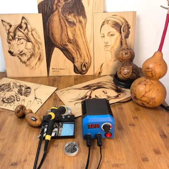 LH55-T2-NS2 Wood Burner kit offers adjustable temperature control ranging from 200℃ to 750℃,Wood Burning kit with 2 Detachable Wood Burning Tool Pens, 36 Wood burner Tips,professional wood burning kit {4}
