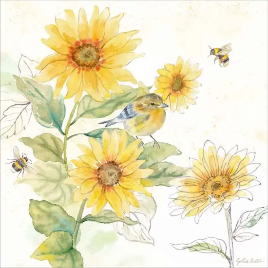 Be My Sunshine II by Cynthia Coulter 12" x 12" Canvas Wall Art {2}