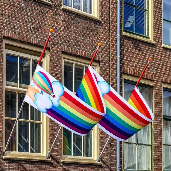 Rainbow Ceiling Decor - 12 ft Rainbow Garland Banner for Birthday Party, Classroom & Daycare {4}